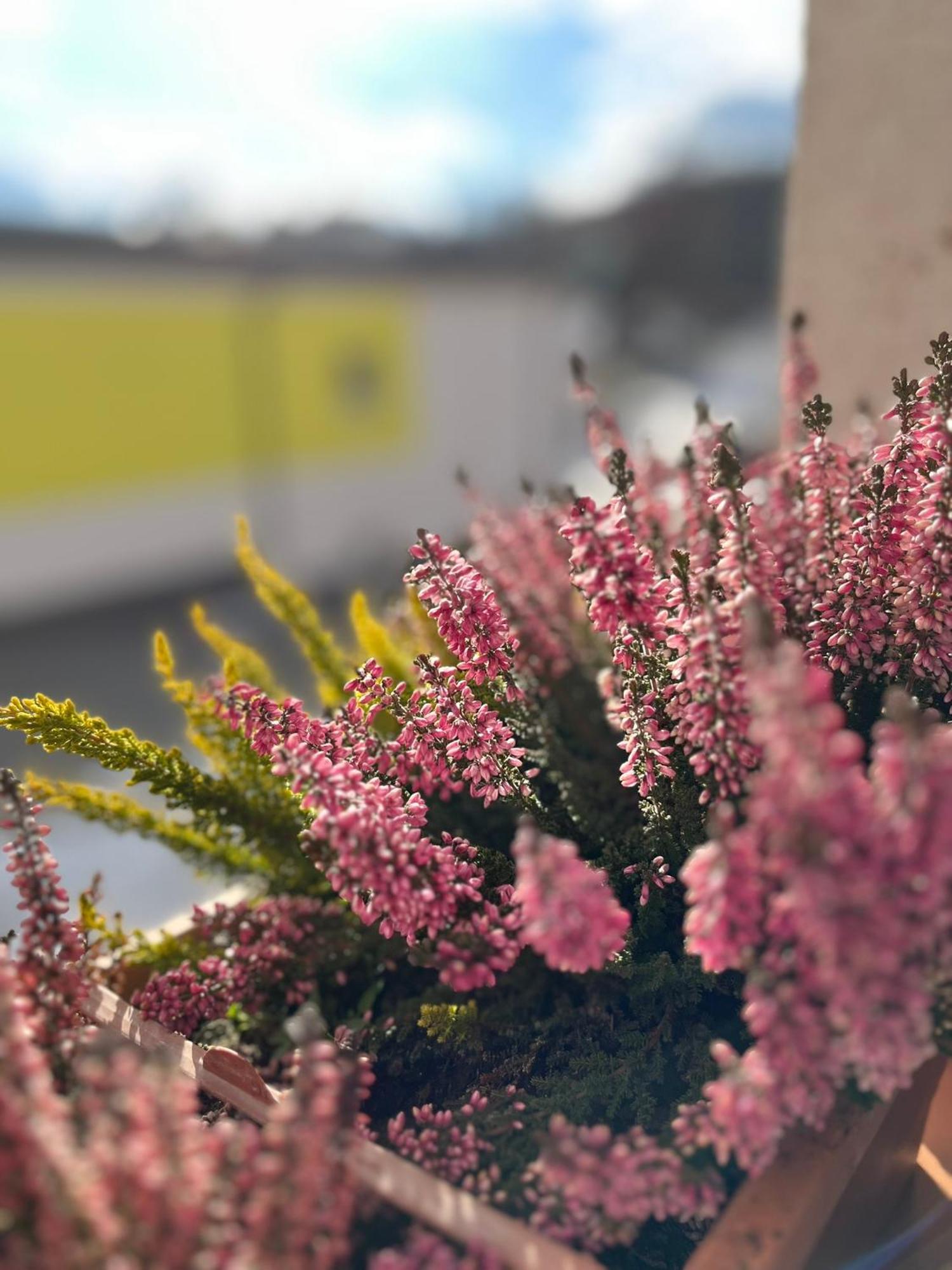 Vila Dravce Esterno foto