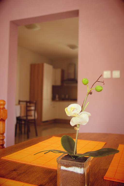 Vila Dravce Esterno foto